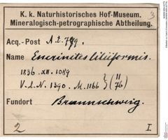 Etiketten zu Calcit (Crinoiden) (NHMW-MIN-At779)
